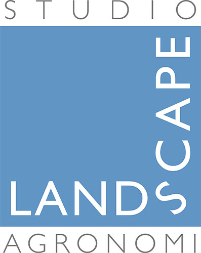 Studio Landscape